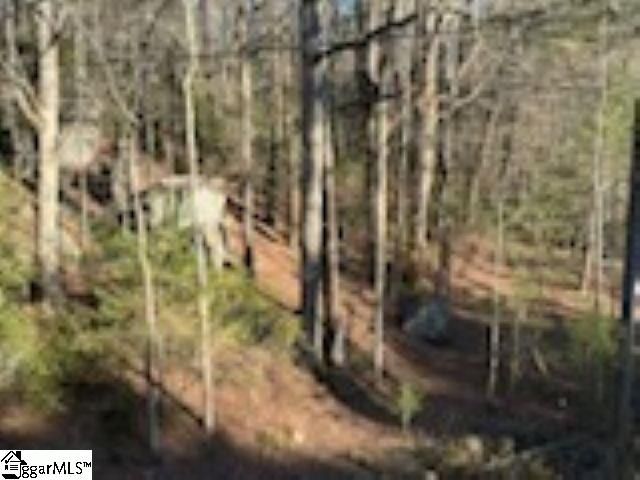 0 Green River Road, Zirconia, NC 28790
