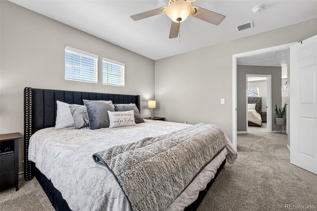 1509 Gold Hill Street, Castle Rock, CO 80109