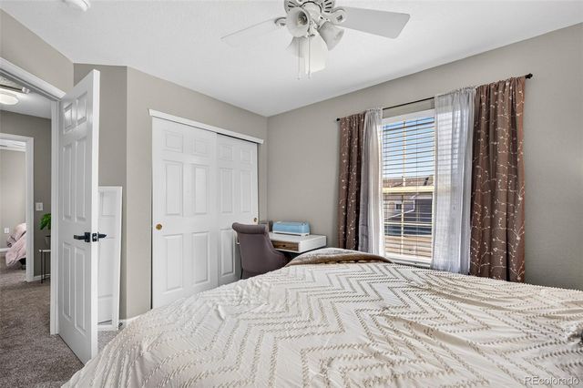 1509 Gold Hill Street, Castle Rock, CO 80109