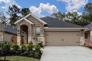 30314 Ruby Forest Court, Magnolia, TX 77354
