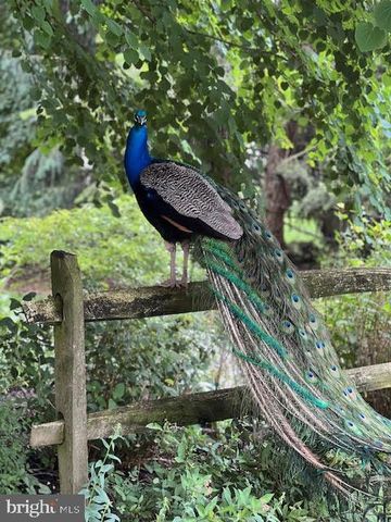 820 WAVERLY RD, Kennett Square, PA 19348