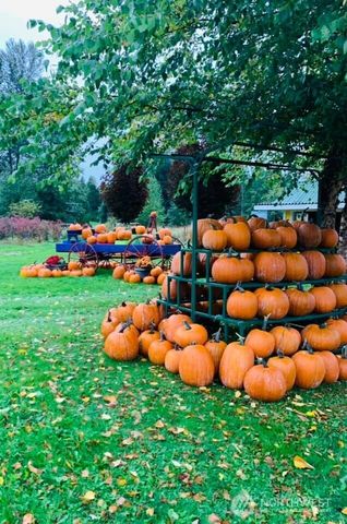 5628 Grandview Road, Arlington, WA 98223