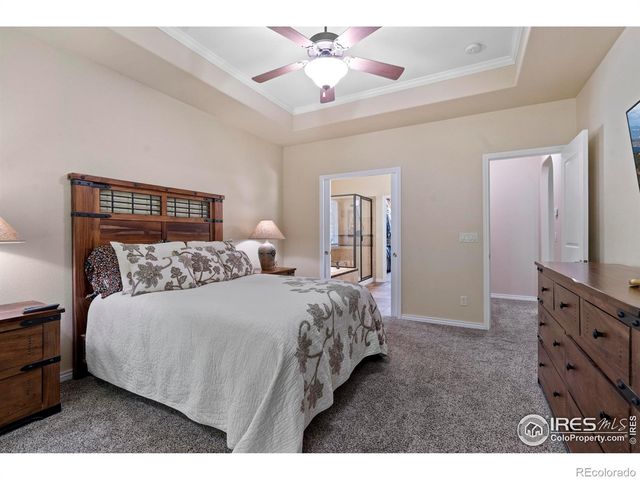 1591 Landon Court, Windsor, CO 80550