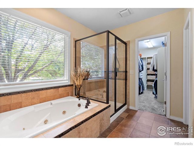 1591 Landon Court, Windsor, CO 80550