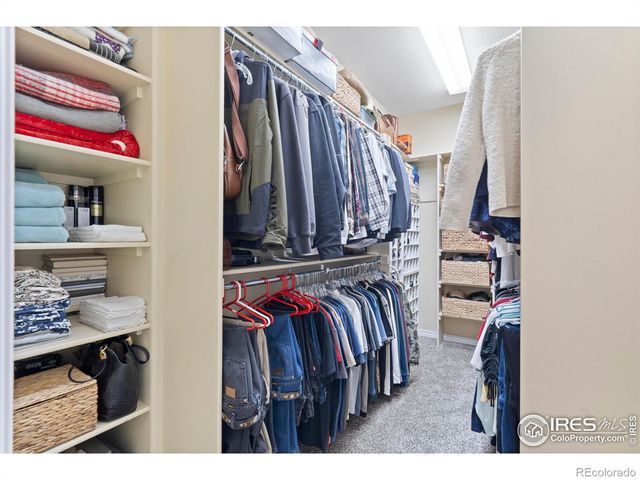 1591 Landon Court, Windsor, CO 80550