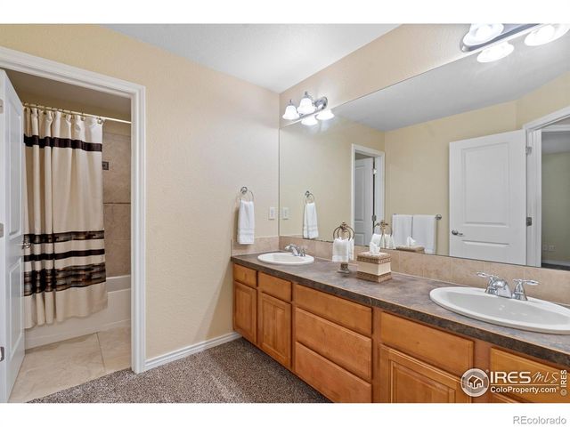 1591 Landon Court, Windsor, CO 80550