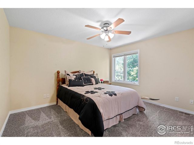 1591 Landon Court, Windsor, CO 80550