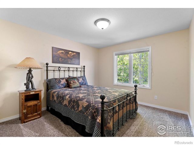 1591 Landon Court, Windsor, CO 80550
