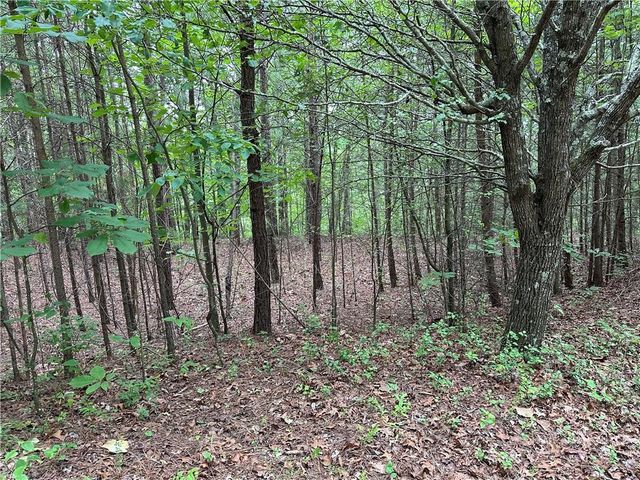 585 Galaxy Way, Ranger, GA 30734