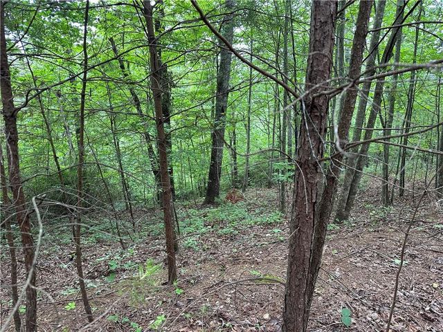 585 Galaxy Way, Ranger, GA 30734