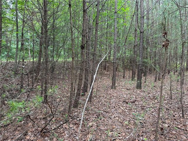 585 Galaxy Way, Ranger, GA 30734