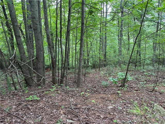 585 Galaxy Way, Ranger, GA 30734