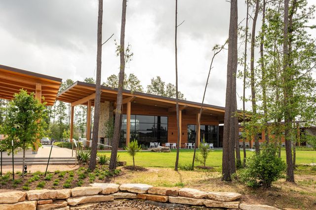 16019 Mahogany Mist Drive, Conroe, TX 77302