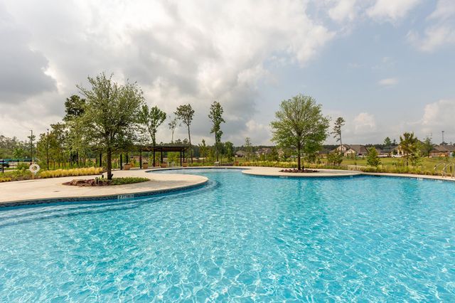16019 Mahogany Mist Drive, Conroe, TX 77302