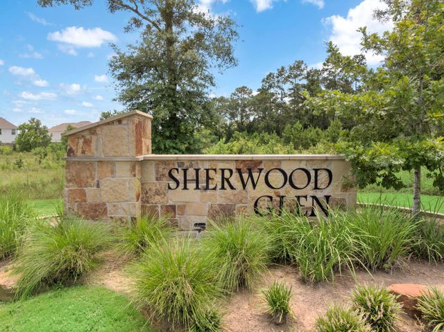 17817 Lionheart Road, Conroe, TX 77306