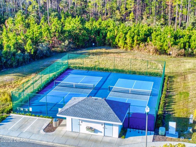 354 Caryota Court, New Smyrna Beach, FL 32168