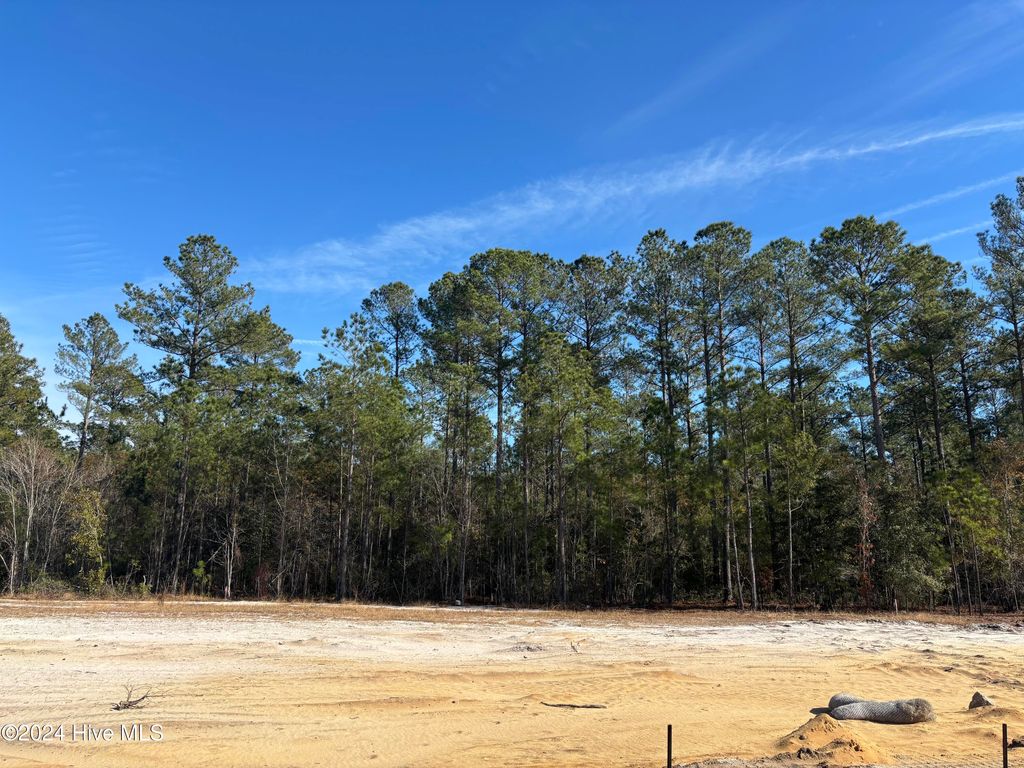 2983 W Timber Crest Drive NE, Leland, NC 28451