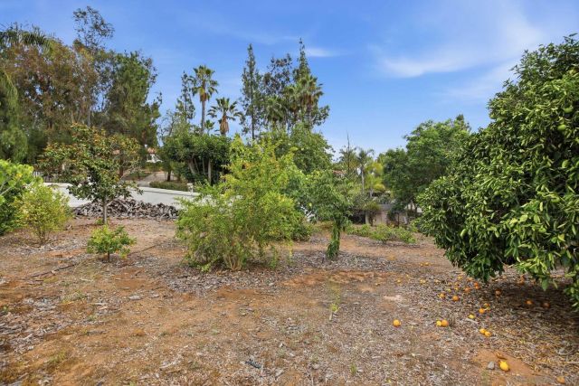 3548 Rosa Way, Fallbrook, CA 92028