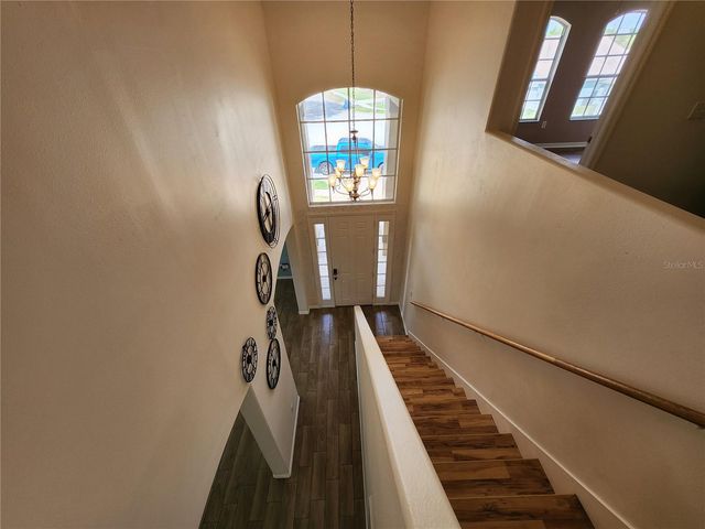 3913 ROSWELL PLACE, Land O Lakes, FL 34639