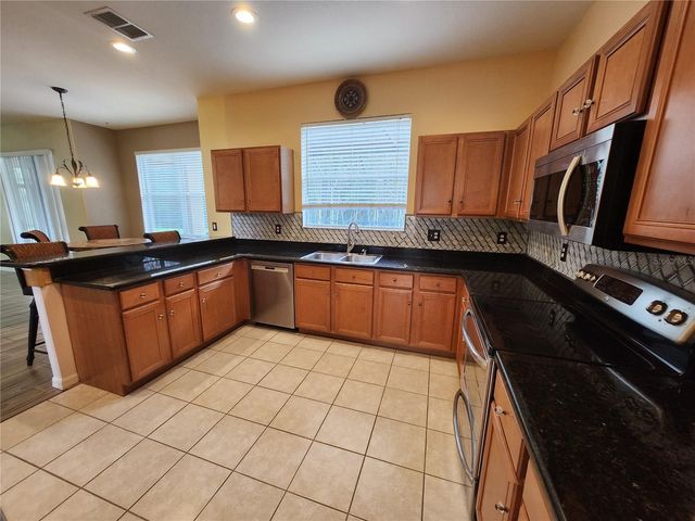 3913 ROSWELL PLACE, Land O Lakes, FL 34639