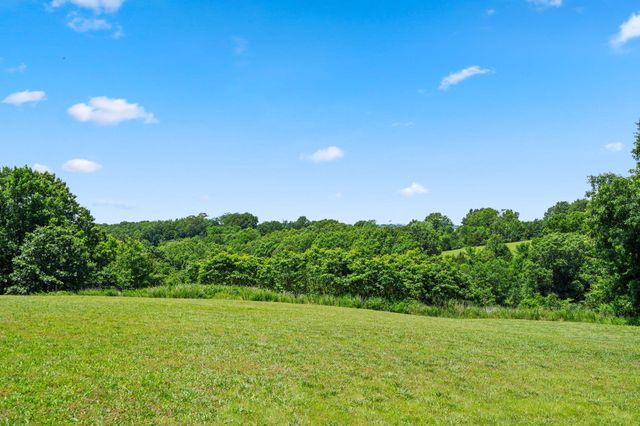 20 Hardin Hills Drive, Galena, MO 65656
