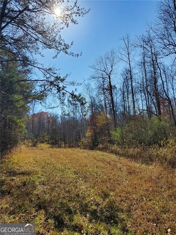 1116 CODY Road, Mount Airy, GA 30563