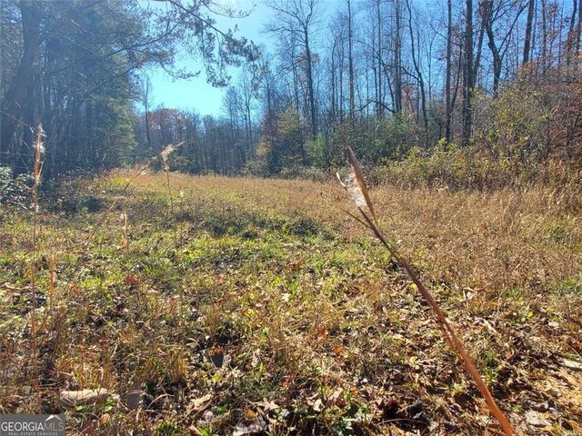 1116 CODY Road, Mount Airy, GA 30563