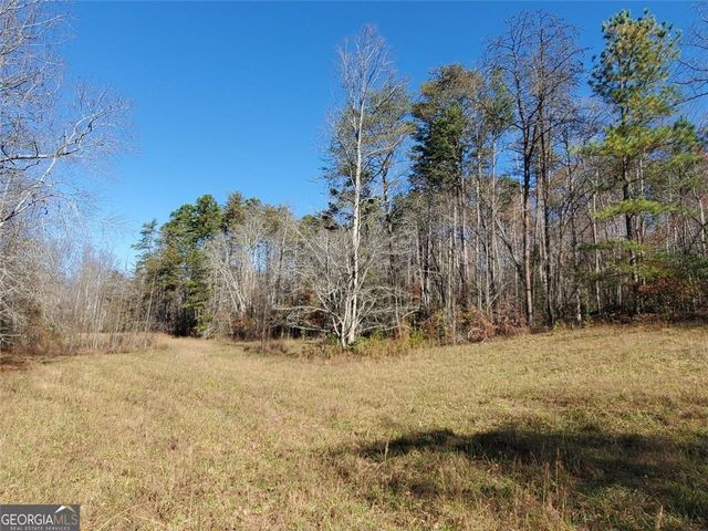 1116 CODY Road, Mount Airy, GA 30563