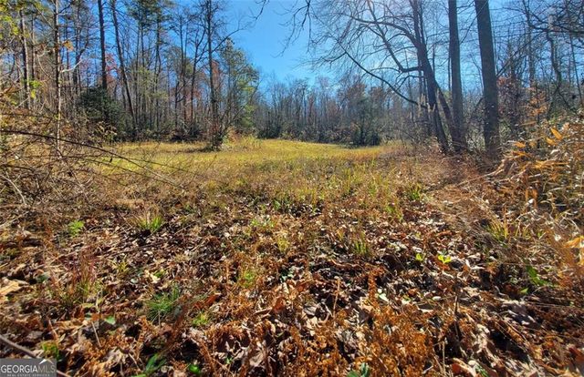 1116 CODY Road, Mount Airy, GA 30563