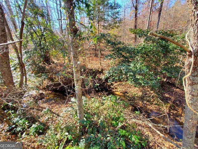 1116 CODY Road, Mount Airy, GA 30563