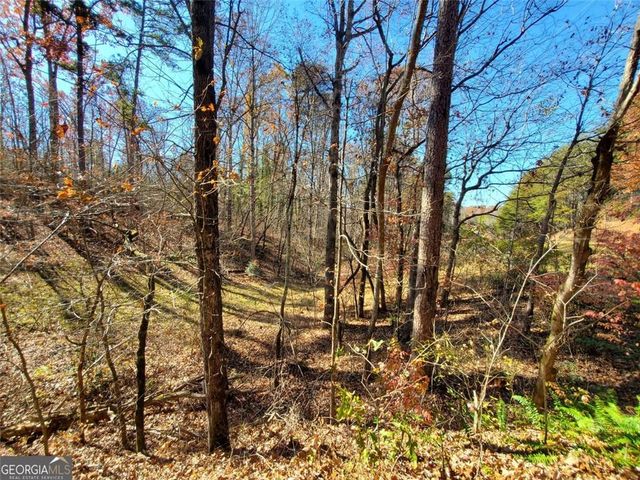 1116 CODY Road, Mount Airy, GA 30563