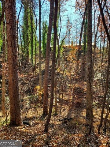 1116 CODY Road, Mount Airy, GA 30563