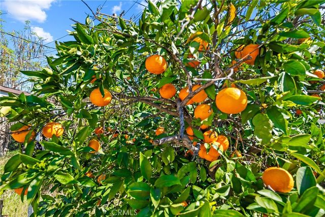 11368 Byways Street, South El Monte, CA 91733