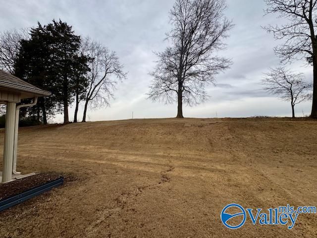 29073 Stonehenge Drive, Toney, AL 35773