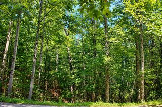 Lot 18 Wilderness Walk, Blairsville, GA 30512