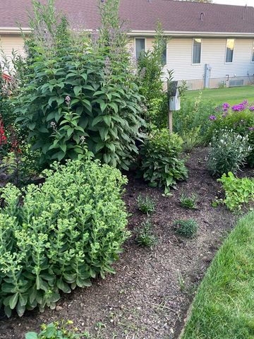 10842 Timer Drive, Huntley, IL 60142