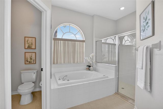 22118 YACHTCLUB TERRACE, Land O Lakes, FL 34639
