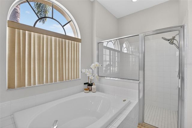 22118 YACHTCLUB TERRACE, Land O Lakes, FL 34639