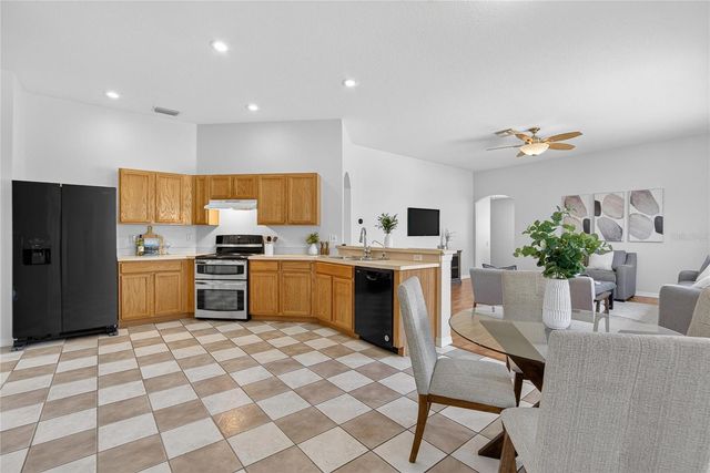 22118 YACHTCLUB TERRACE, Land O Lakes, FL 34639
