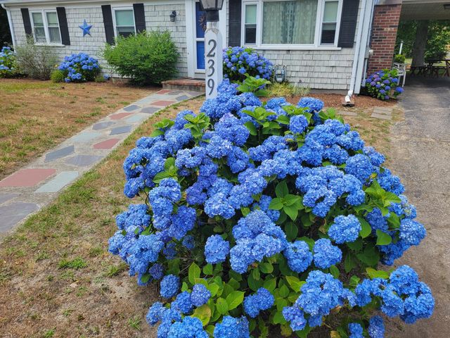 239 Swan River Road, West Dennis, MA 02670