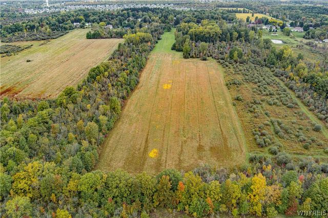 6775 Bear Ridge Road, Pendleton, NY 14094