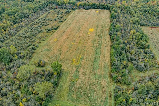 6775 Bear Ridge Road, Pendleton, NY 14094