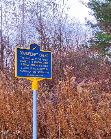 121 Bushnell Road, Mayfield, NY 12117