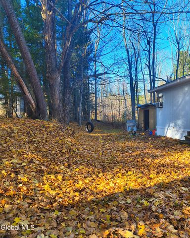 121 Bushnell Road, Mayfield, NY 12117