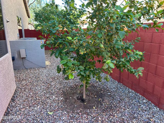 22321 N 79TH Drive, Peoria, AZ 85383