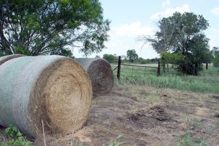 TBD FM 86 Highway, Lockhart, TX 78644