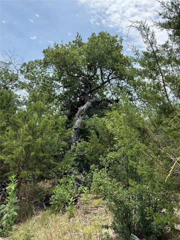 1709 Long Bow DR, Leander, TX 78641