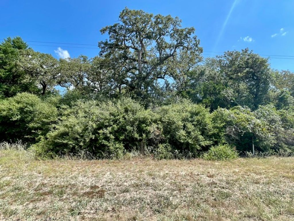 TBD Park Rd 57, Somerville, TX 77879 — photo 3