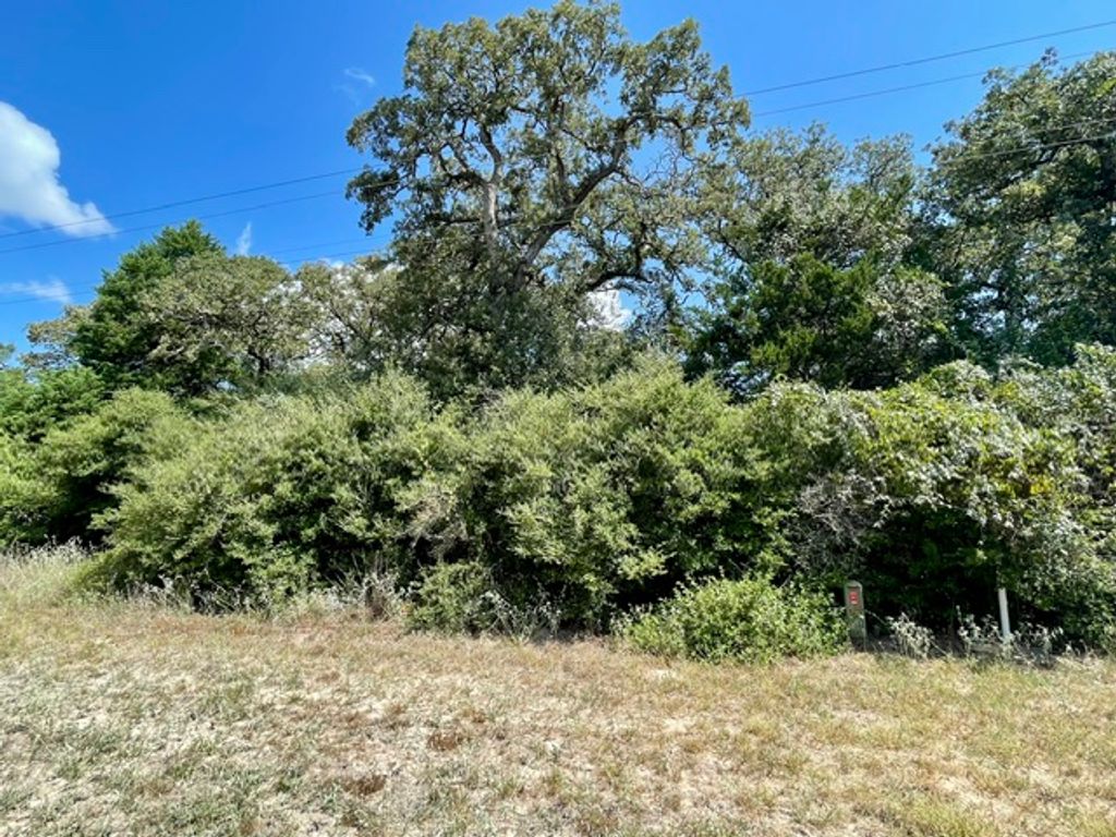 TBD Park Rd 57, Somerville, TX 77879 — photo 4
