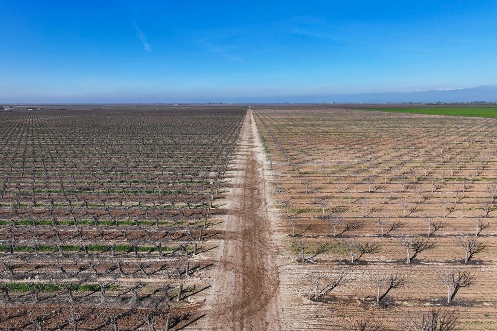 Image 2 of property listing at 8000 Road 208, Terra Bella, CA 93270